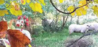 Photo de Envol Garden