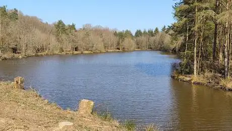 Speech House Woodlands Lake