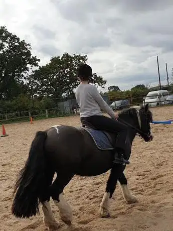 Photo de Abbeyfields Equestrian Centre