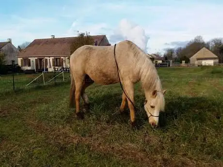 Photo de Ecurie de la Charbonnotte
