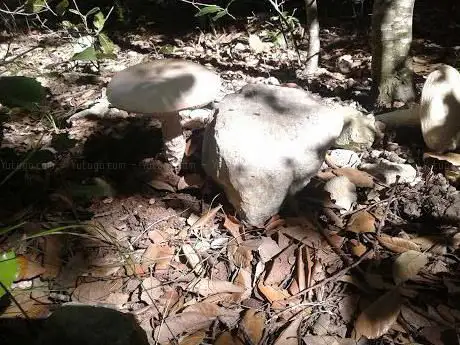 Parco Naturale di Torcito
