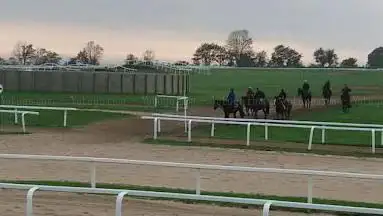 Photo de Galop Baie