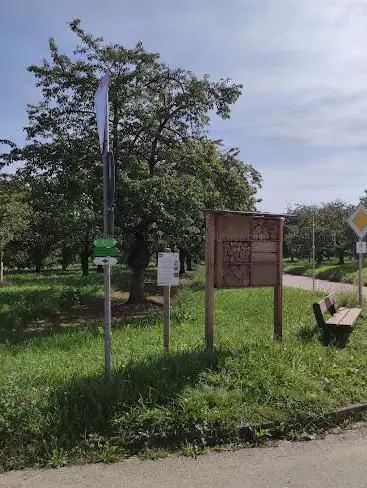 Insektenhaus