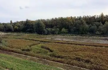 Photo de InfoTafel Rhein: Fluss, Aue und Wasserschutz