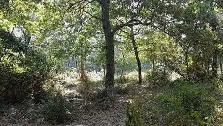 Photo de Bosco di S. Benedetto