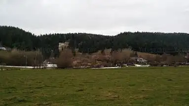 Photo de Pony Club Du Larmont