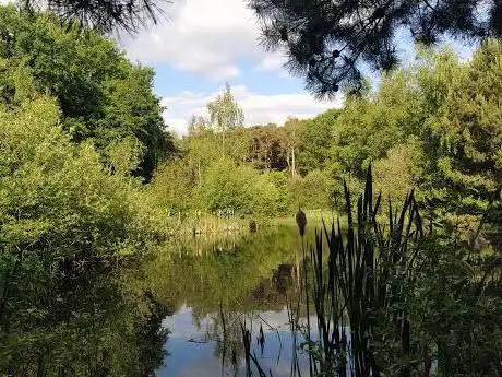 Photo de Oversteek Roelerbeek