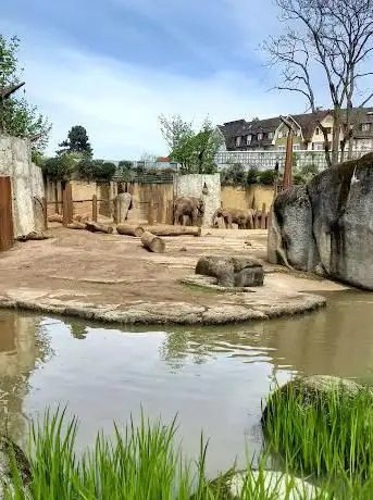 Photo de Zoo Basel