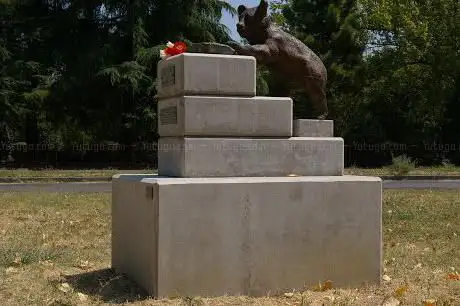 Photo de Pomnik niedÅºwiedzia Wojtka