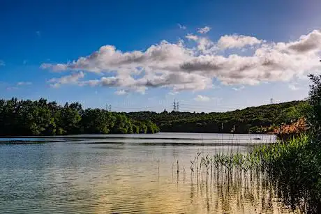 Photo de Treeton Dyke
