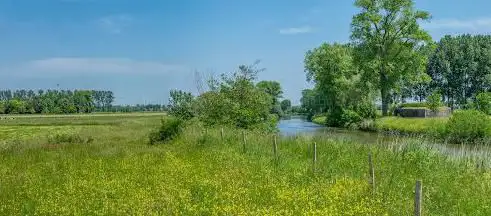 Natuurreservaat Leiemeersen-Noord (Vallei van de Zuidleie)