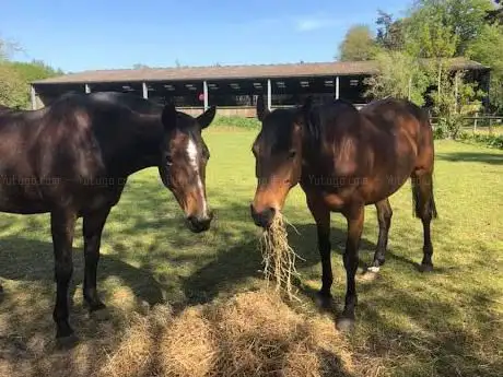 Photo de Banstock House Stables