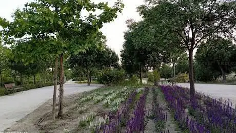 Photo de Fuente Carrantona Forest Park