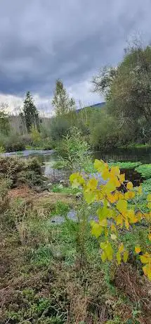 Photo de Campo De Fútbol La Marcela