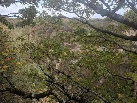 Mulberry Ancient Quarry