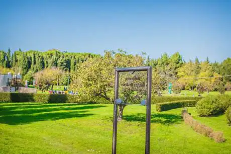 Photo de City park Miralfiore Pesaro