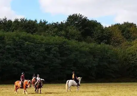 Photo de La Harelle des Chevaux
