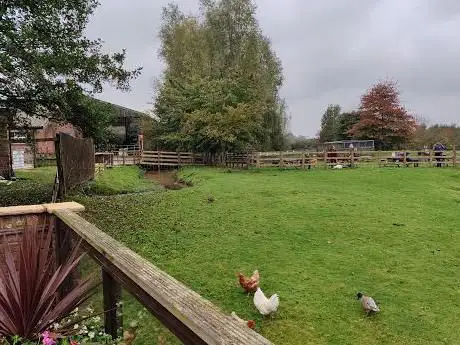 Photo de Cotebrook Shire Horse Centre