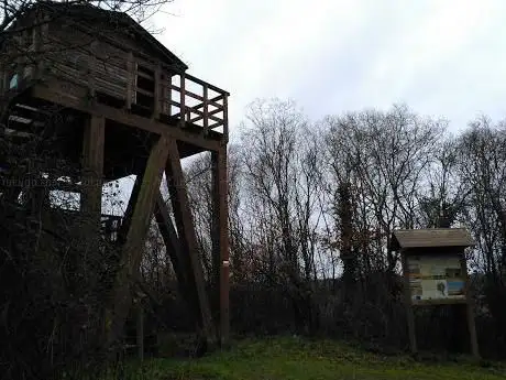 Photo de Observatorio de aves 2