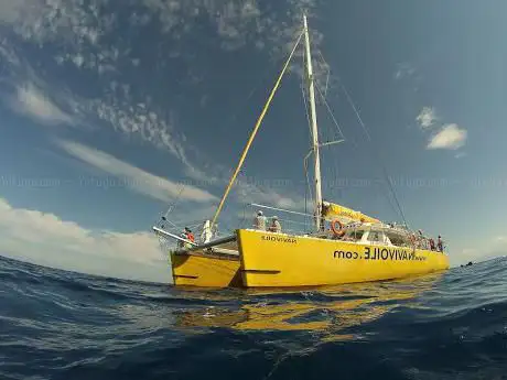 Photo de Catamaran NAVIVOILE