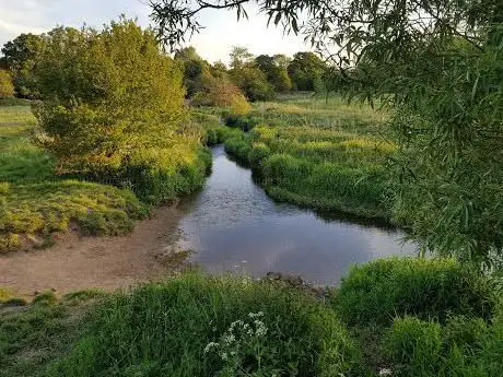 Photo de Solihull Meadow