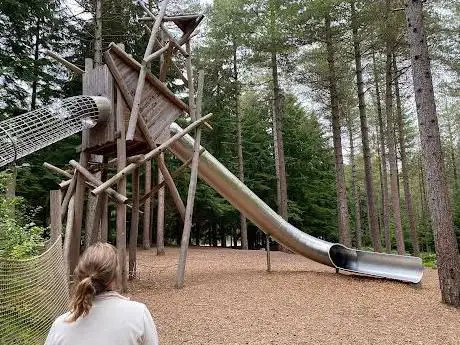 Photo de Play Trail Moors Valley