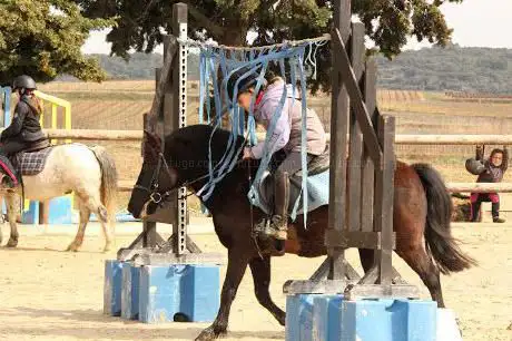 Photo de Equi-P Domaine Equestre