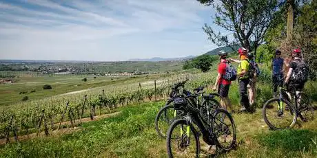 Photo de Vélo'vignes