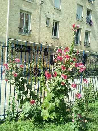 Photo de Jardin Pierre Seghers