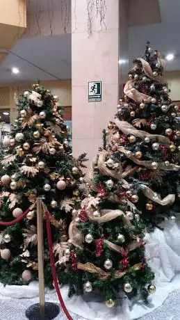 Photo de B&M Arboles de Navidad