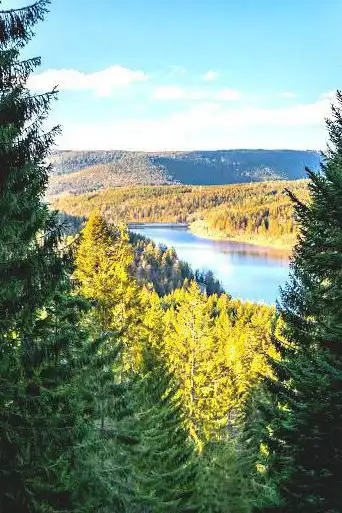 Photo de Blick zur Schwarzenbachtalsperre