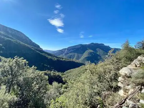 Photo de Talaixa