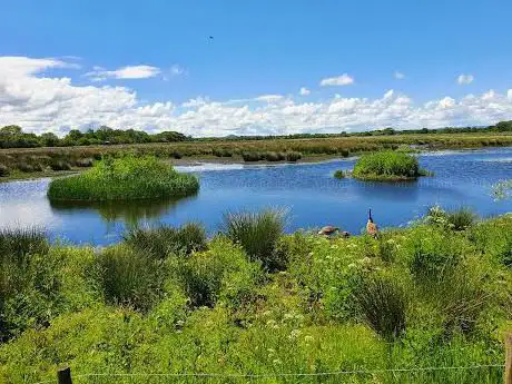 Photo de Avalon Marshes Centre