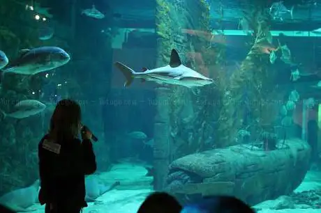 Photo de Seaquarium du Grau-du-Roi