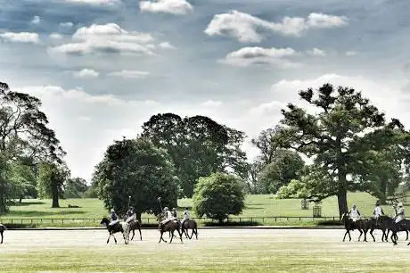 Photo de Oxford Polo Ltd