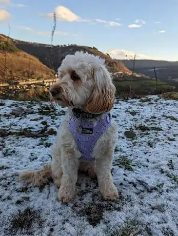 Sirhowy Valley Country Park