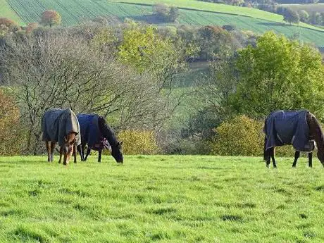 Photo de May Hill Farm and Livery/ Equestrian Centre