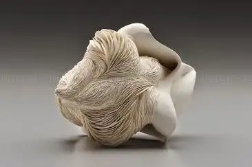 Photo de Mizen Gallery