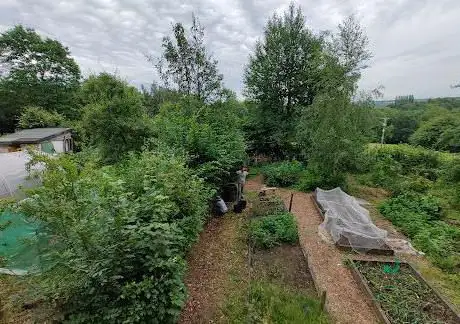 Photo de Incredible Edible Prestwich & District - Philips Park site