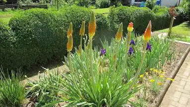Michas Garten