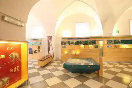 Photo de Museo Civico di Paleontologia e Paletnologia Decio de Lorentiis