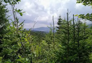 Photo de Col de l'Aiguillon