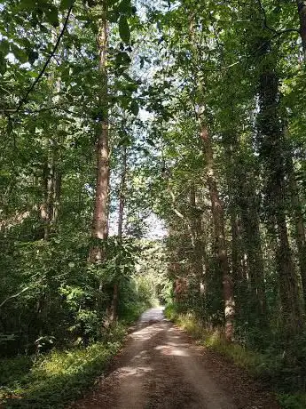 Begijnbos