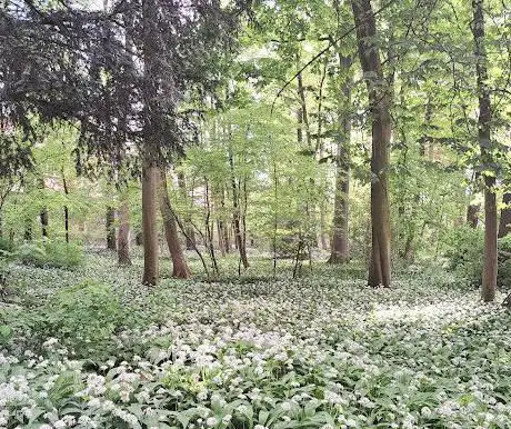 MTB Route Bloso