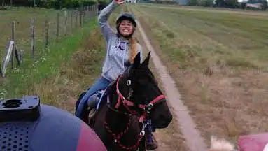 Photo de Les Poneys de Julie