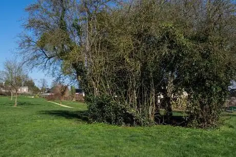 Parc source de la Lèche