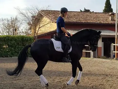 Photo de Circolo Ippico Sporting Club Castello