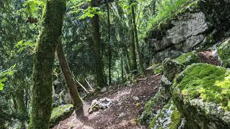 Photo de Heidechuchi Kappel SO