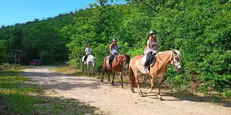 Photo de ALPHA outdoor experiences