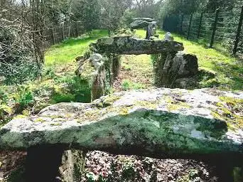 Photo de Allée couverte d'Er-Roh